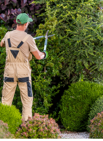 Jardinería y Zonas Comunes